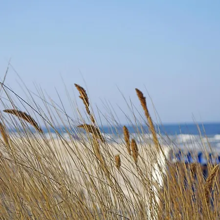 Apartment Park Strandnah Erste Reihe Heringsdorf (Usedom)